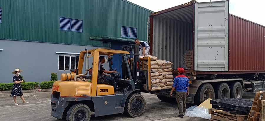 Dịch vụ cho thuê xe nâng hàng rút hàng container