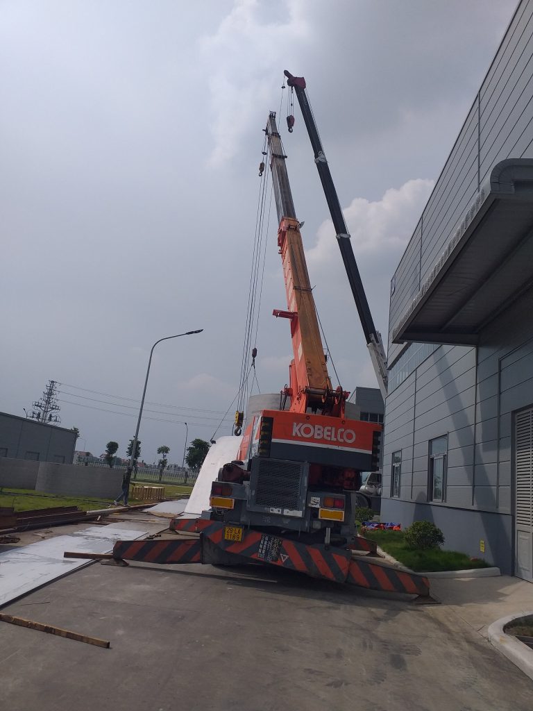 1 Ca Cẩu Kato Bao Nhiêu Tiền? Chuyên Gia Giải Đáp 3 1 ca cau kato bao nhieu tien 3
