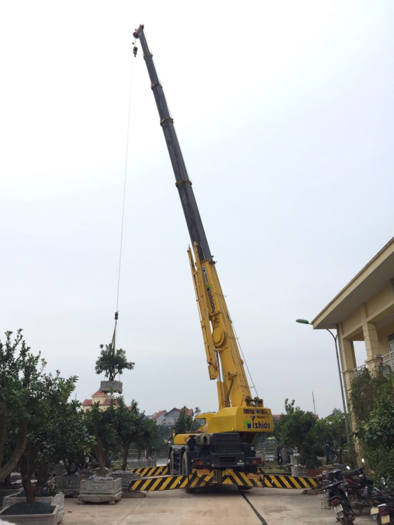 Cẩu 25 Tấn Cần Dài Bao Nhiêu Mét?