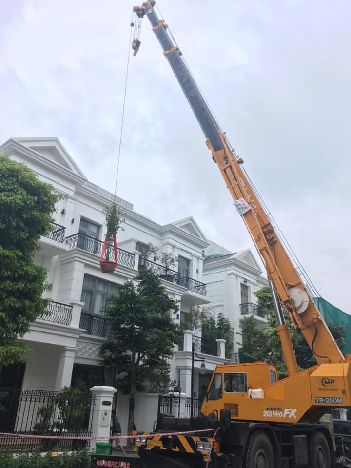 Dịch Vụ Thuê Xe Cẩu Tại Dương Nội Giá Rẻ 1 thue xe cau tai duong noi 2